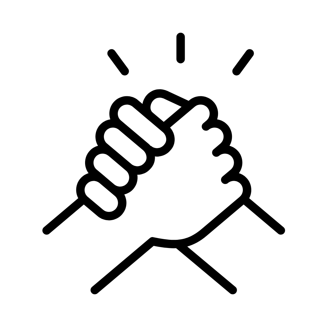 Alt Image